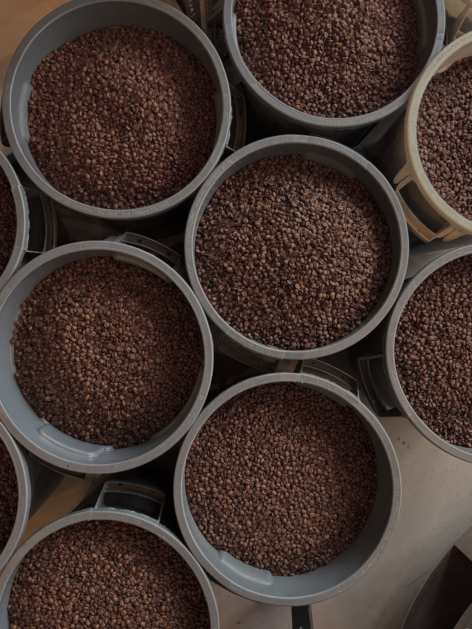 Espresso & Filter Coffees