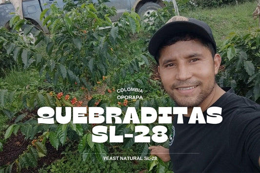 Colombia - SL28 Quebraditas 250g