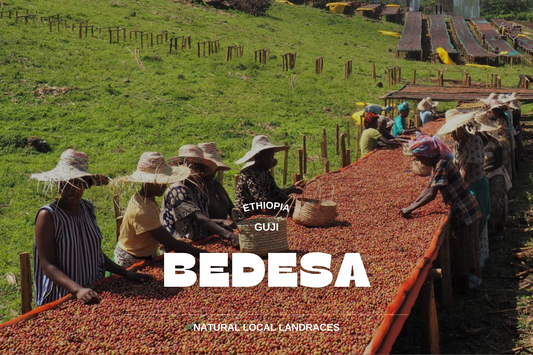 Ethiopia - Bedesa 250g