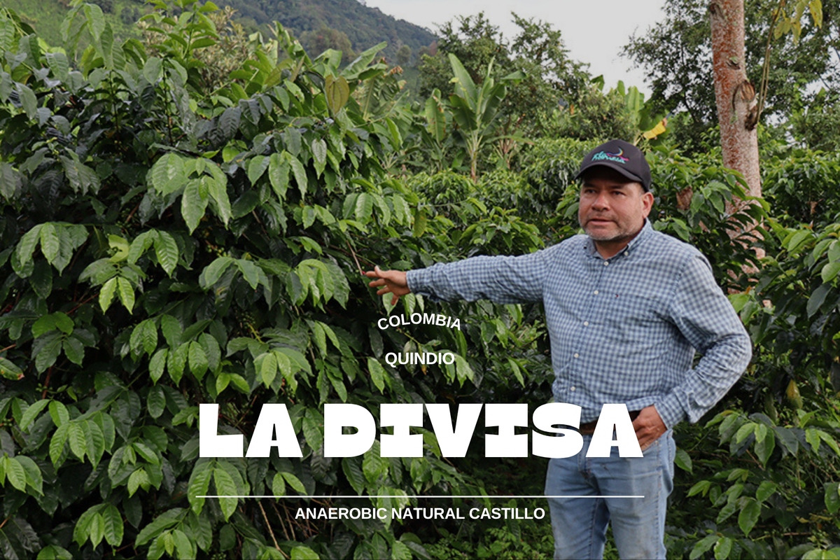 Colombia - La Divisa 250g