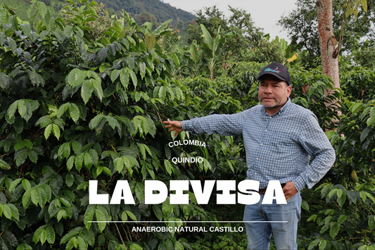 Colombia - La Divisa 250g