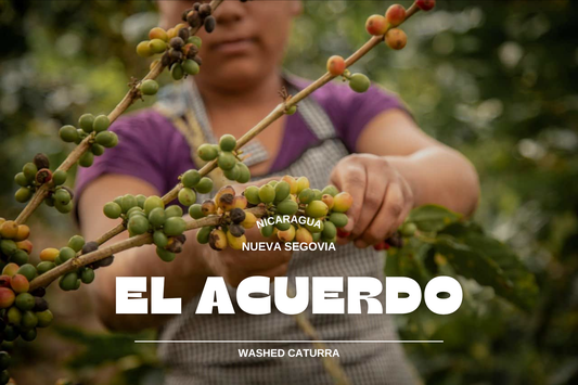 Nicaragua - El Acuerdo 250g