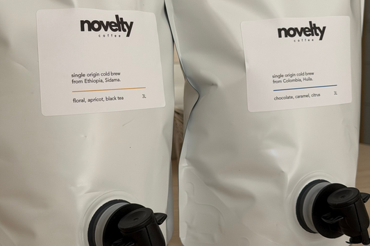 Single Origin Cold Brew Ethiopia - 3L Pouch