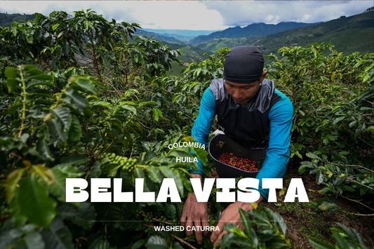 Colombia - Bella Vista 250g