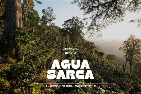Nicaragua - Agua Sarca 250g