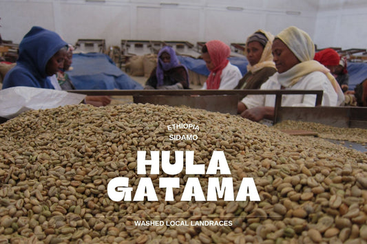 Ethiopia - Hula Gatama 250g