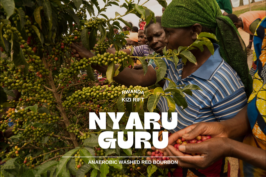 Rwanda - Nyaruguru 250g