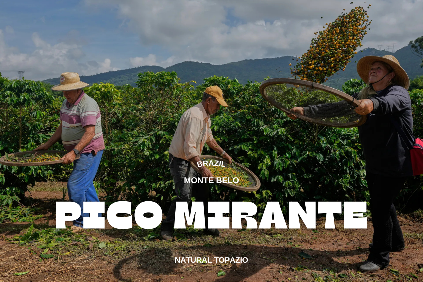 Βραζιλία - Pico Mirante 250g