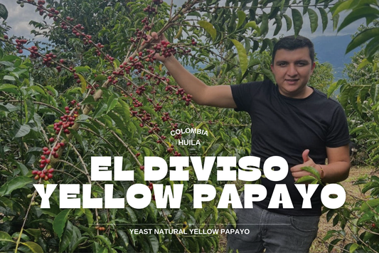 Colombia - Yellow Papayo El Diviso 250g