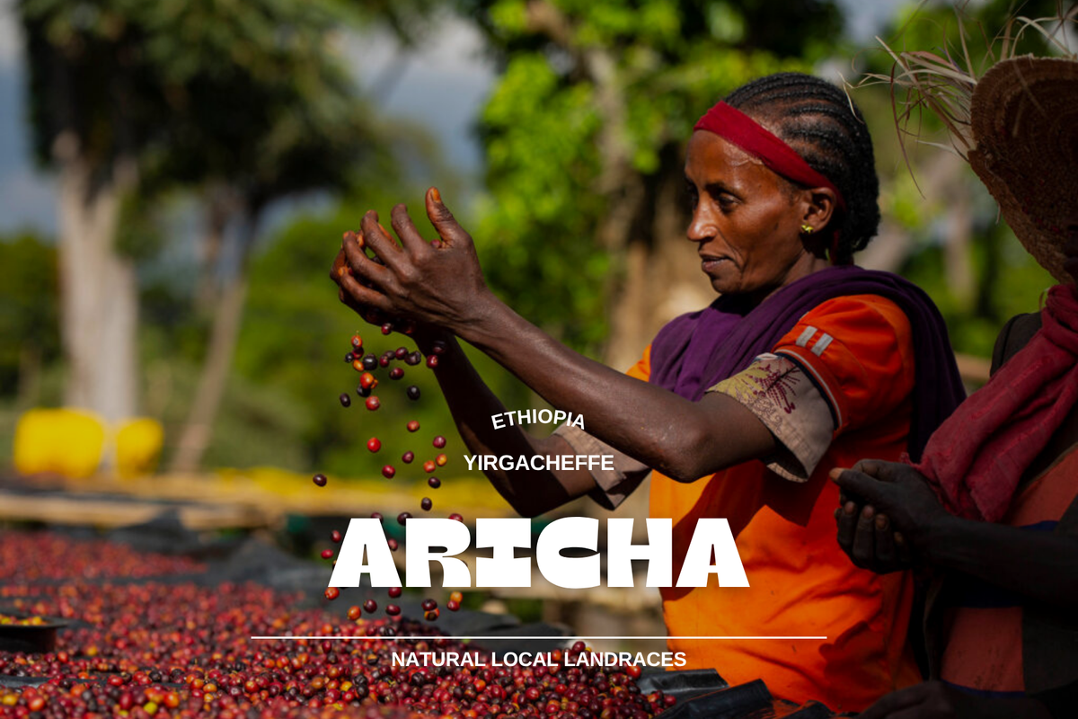Ethiopia - Aricha 250g